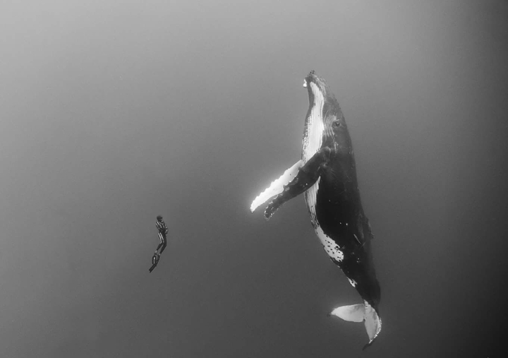 Davide Balena