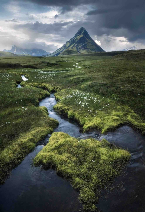 a