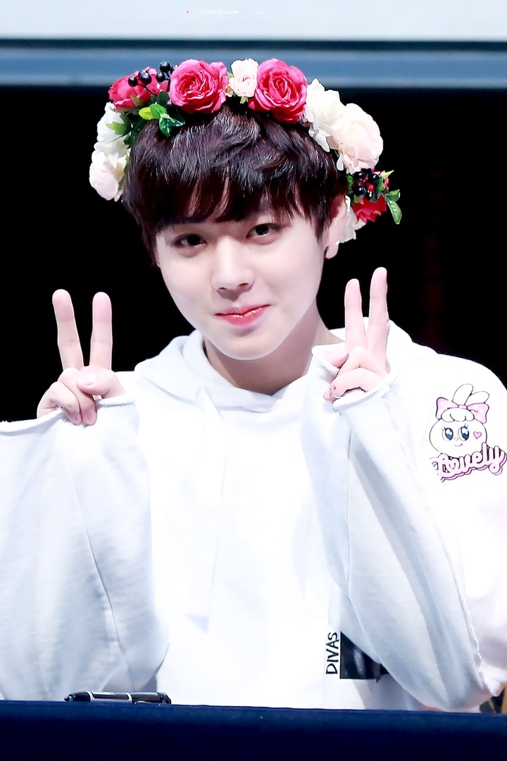 hoonie