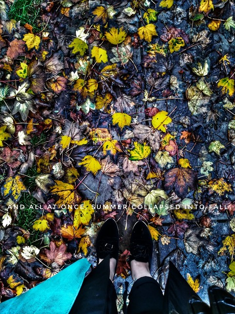 #fall #beautiful #seasons #love