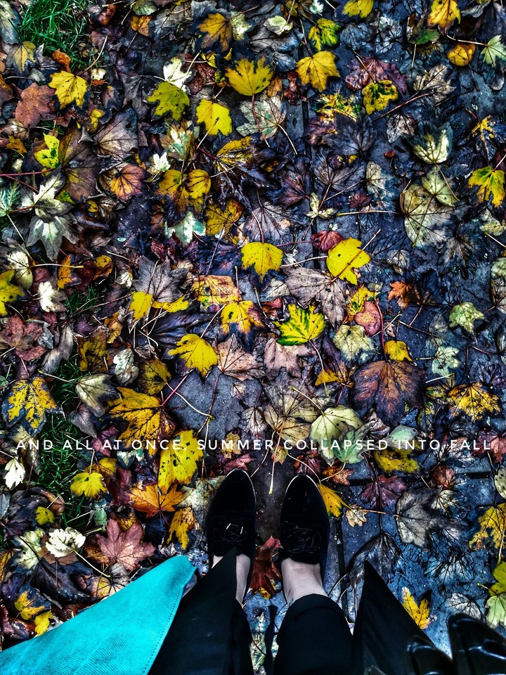 #fall #beautiful #seasons #love