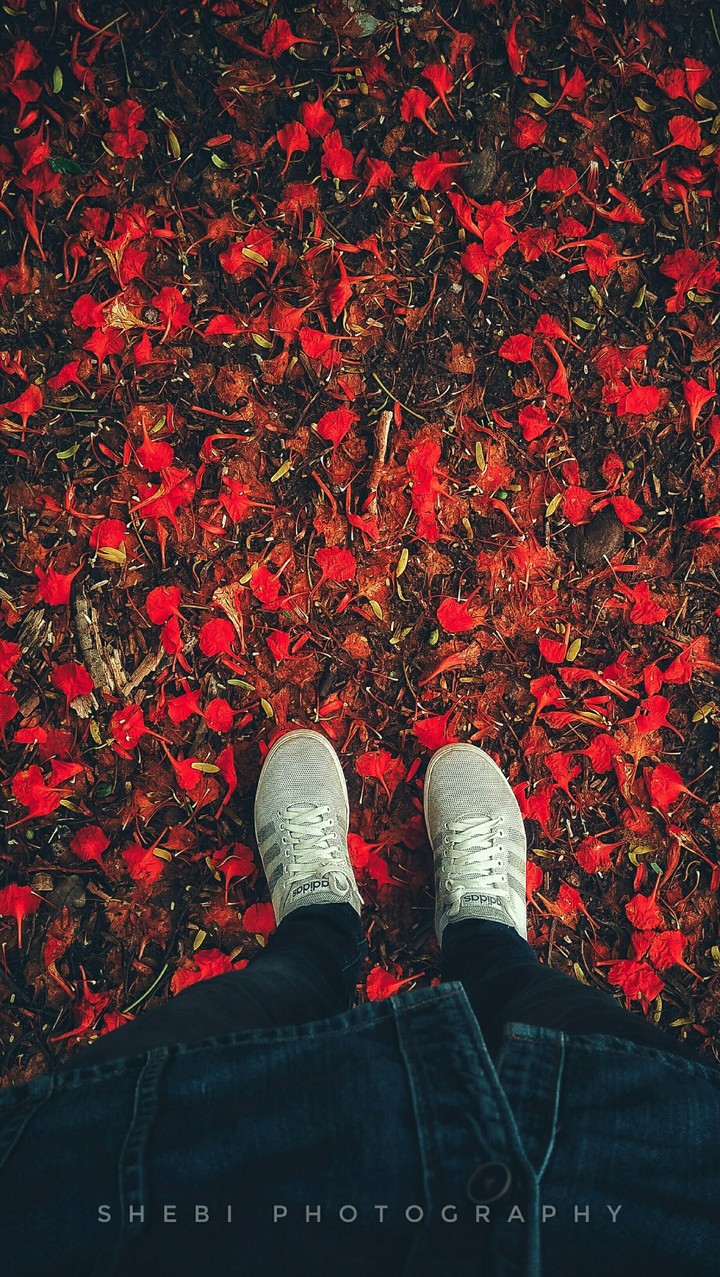 Nature love