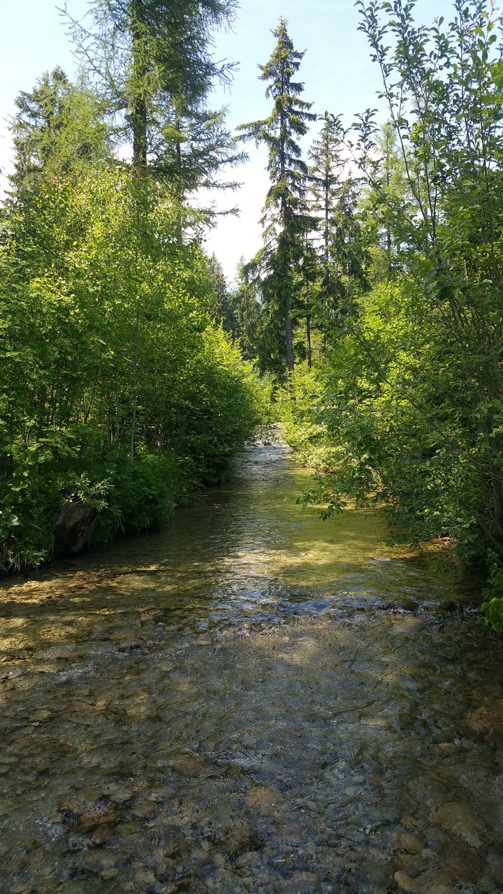 #green #country