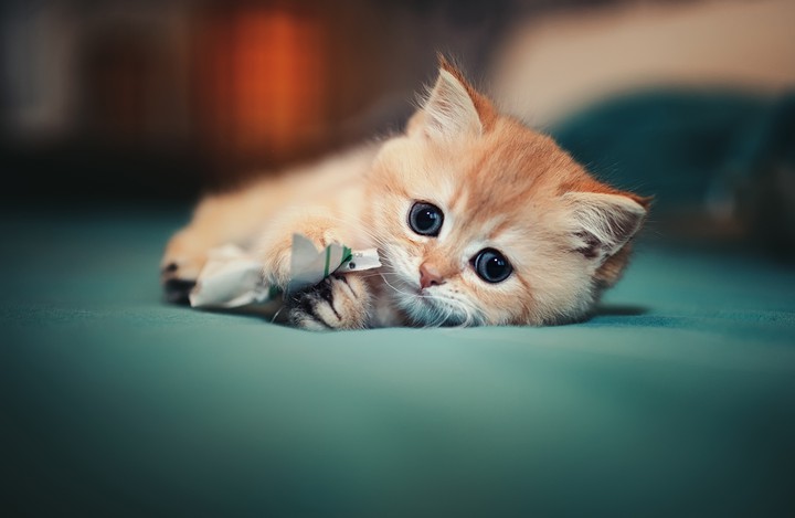 ❤