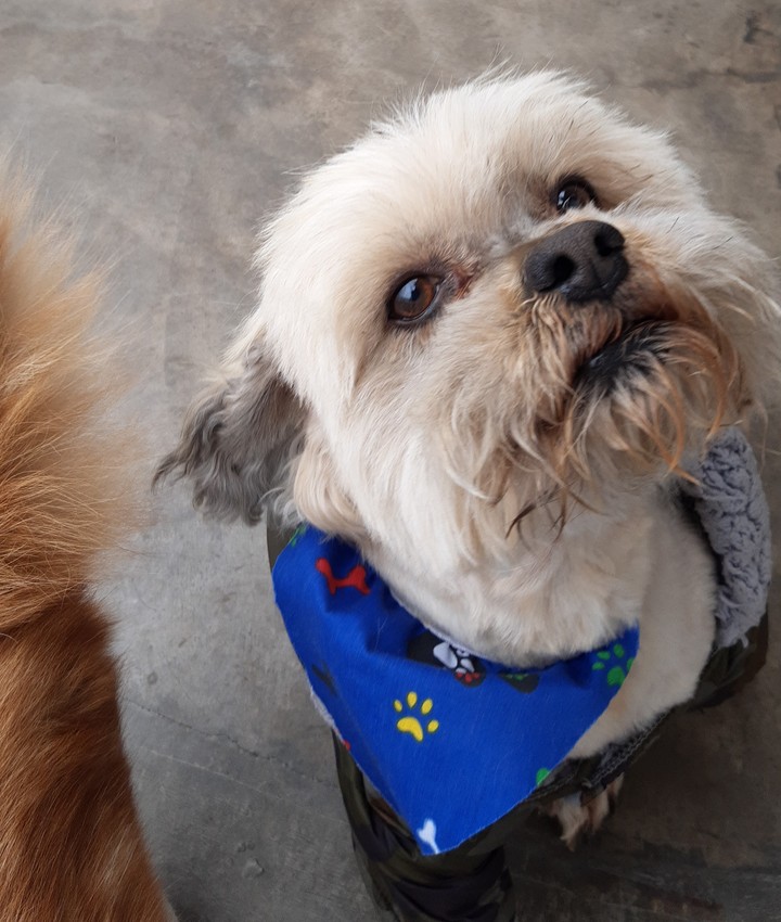 Mi Bobby