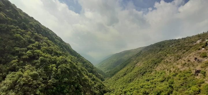 Nature