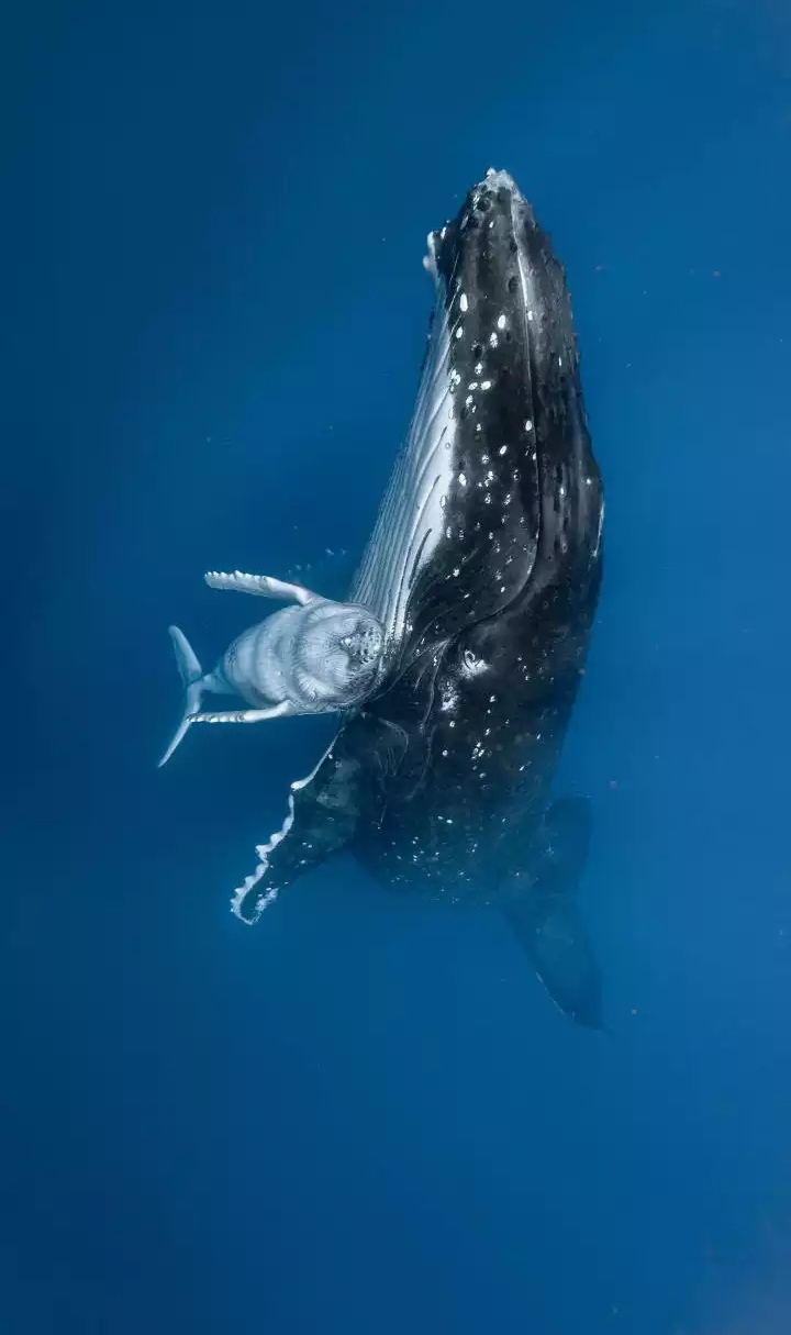 ?