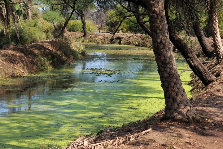 Nature Landscape