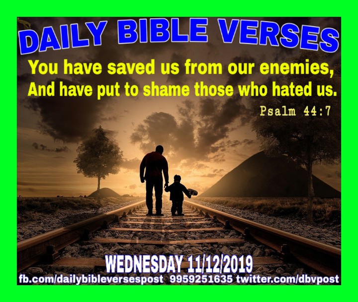 DAILY BIBLE VERSES