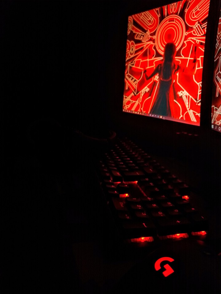 gamer