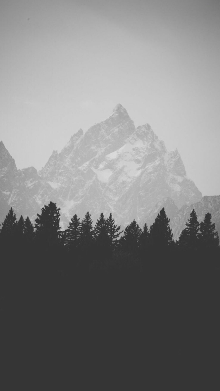 Iphone 7 Wallpaper