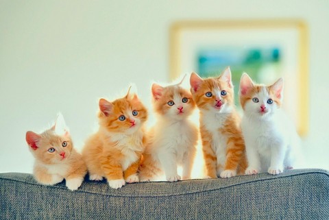 cuteee