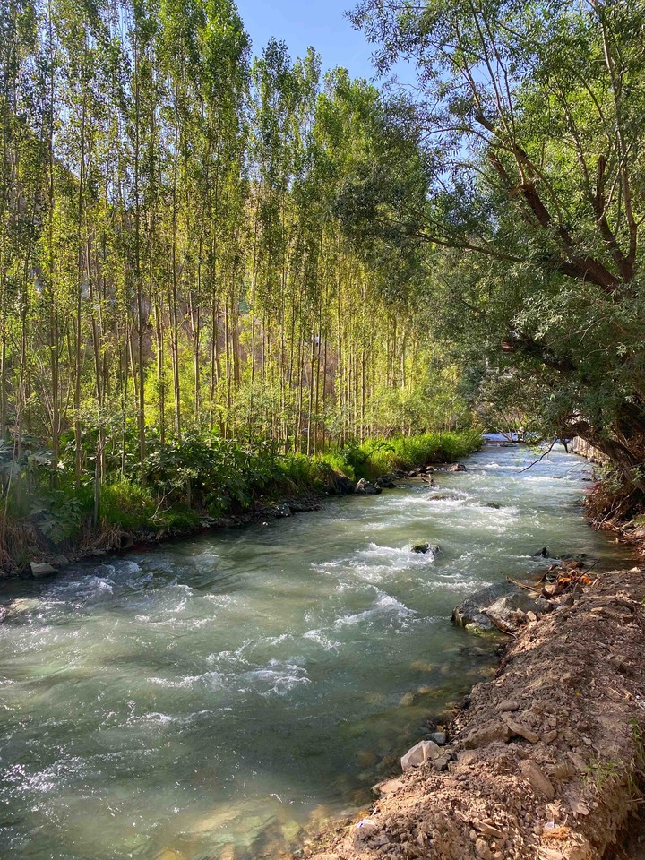 nature