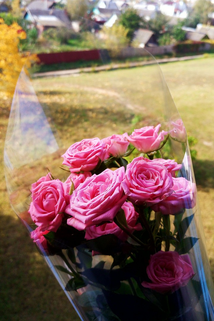 Flower