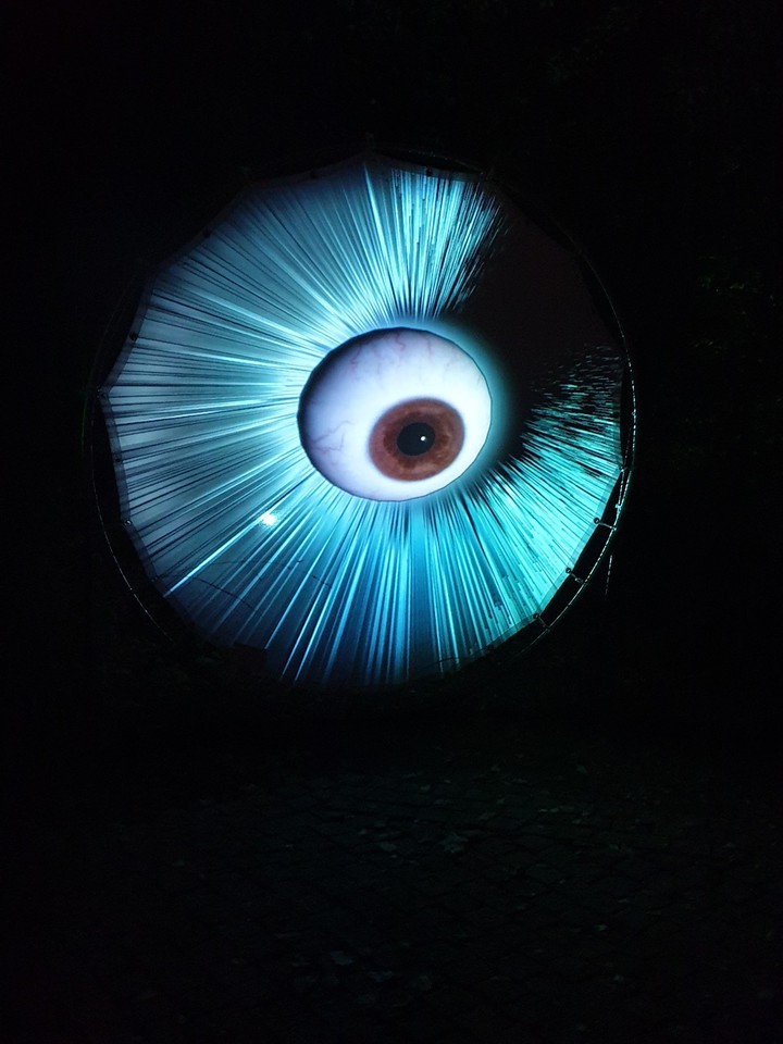 auge des lichts