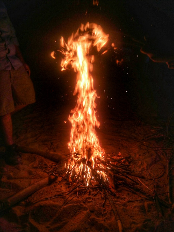amazed ⛺