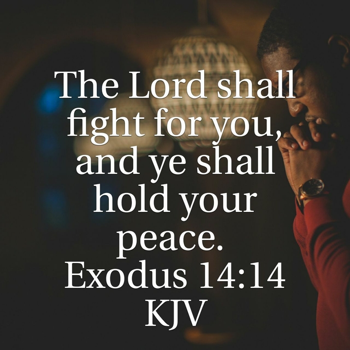 Fighting