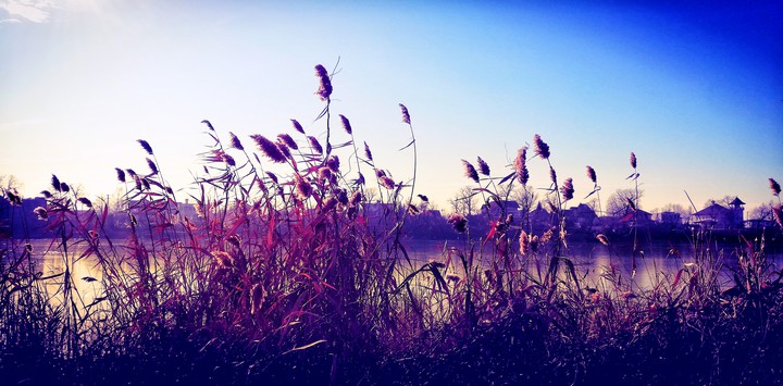 spring wind