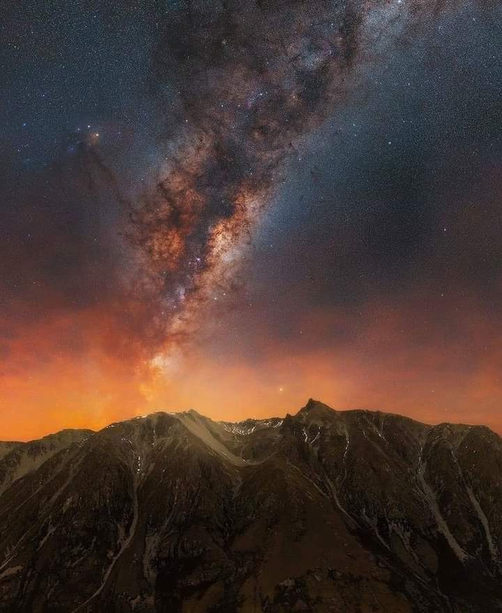 cosmos