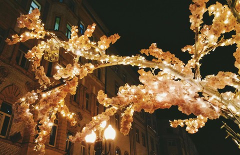 Magic tree