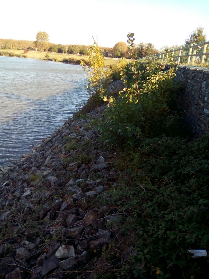 lac