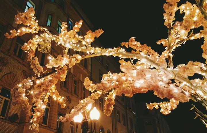 Magic tree 
