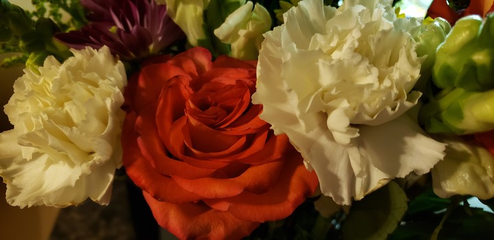 2 Carnations and a Rose
