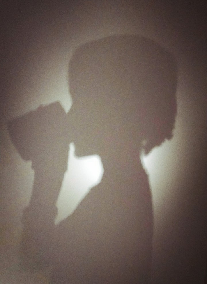 Shadow