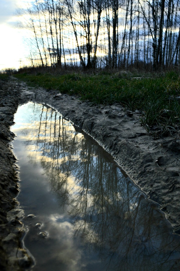 Spring is coming