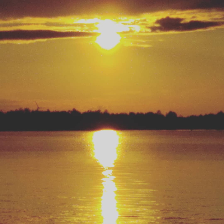 Senftenberger See