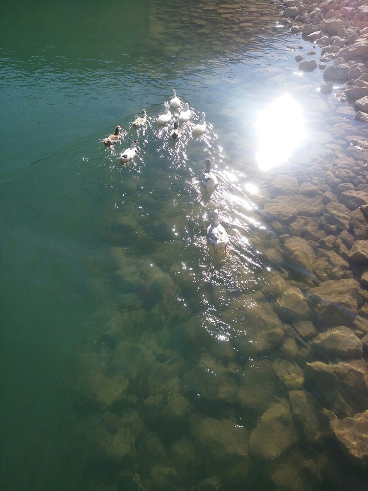 Ergan Dağı Kayak Tesisleri
