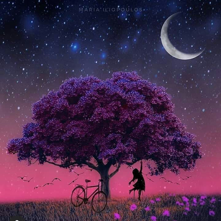 beauty of tree