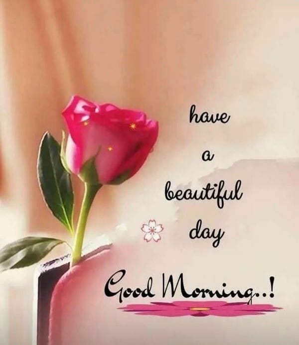 good morning