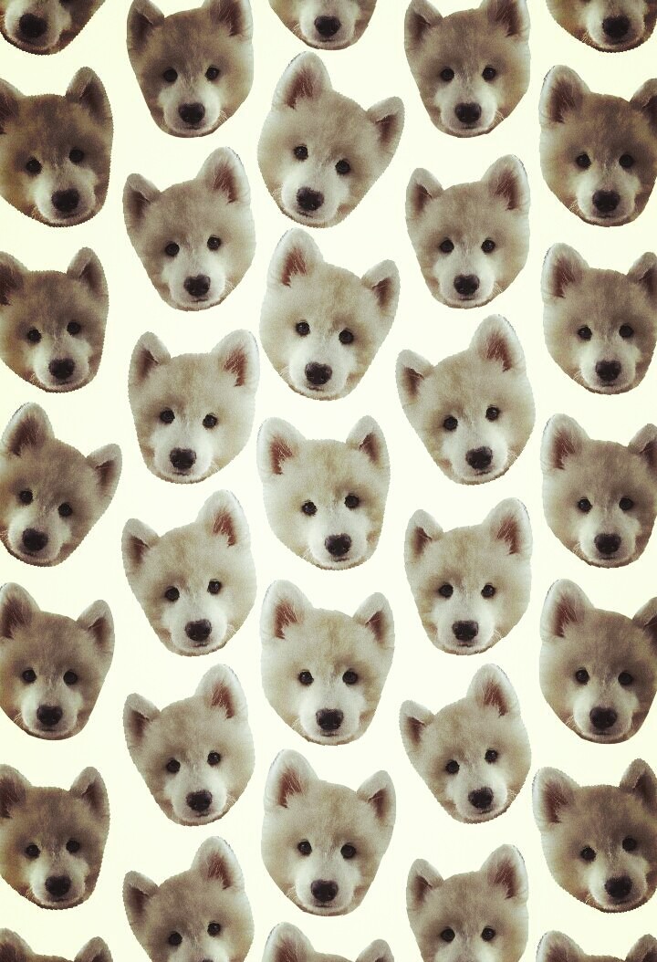 Dogsismylove
