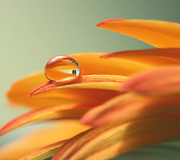 A drop