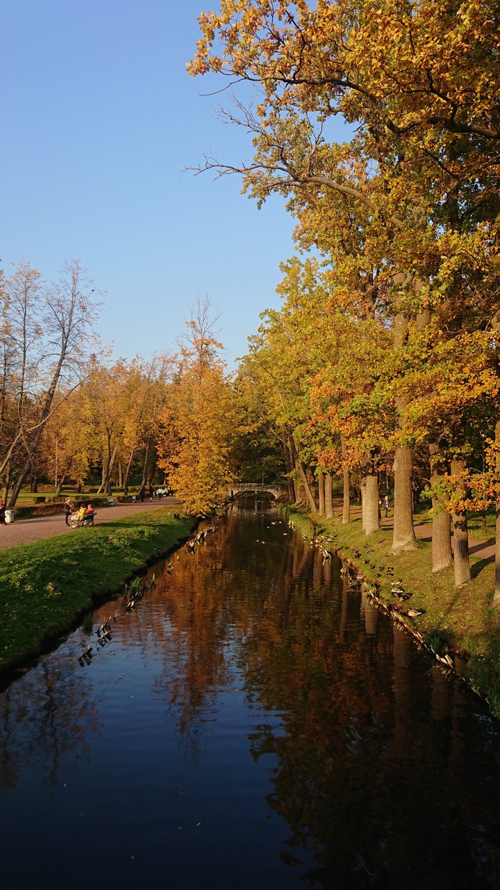 colorful autumn