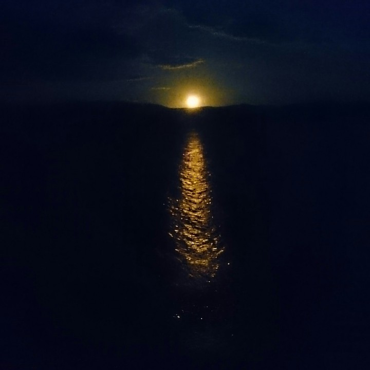 moonlight summer