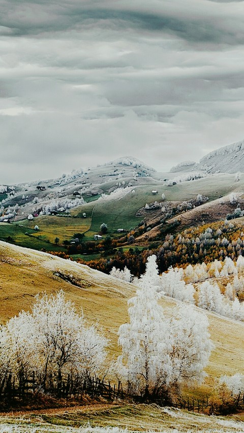 Vally