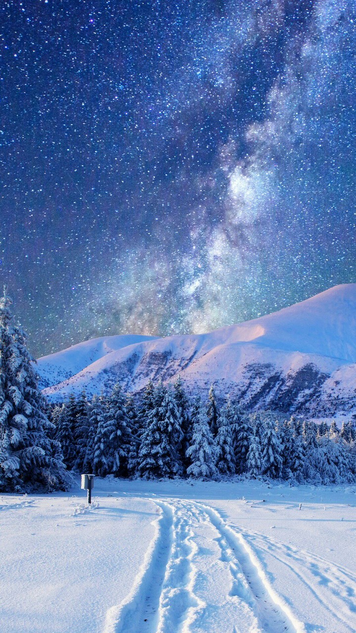 Winter landscape
