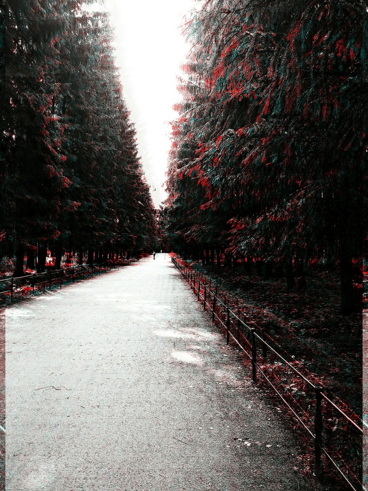 dark