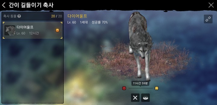 다이어울프