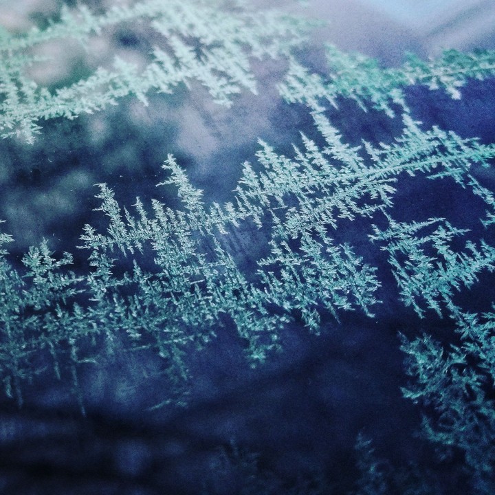 Frost