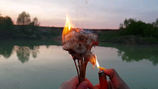 fire