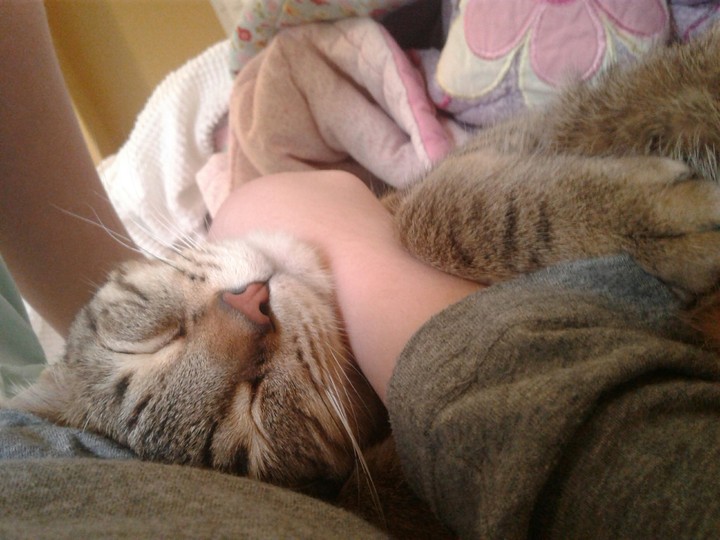 warm and fuzzy