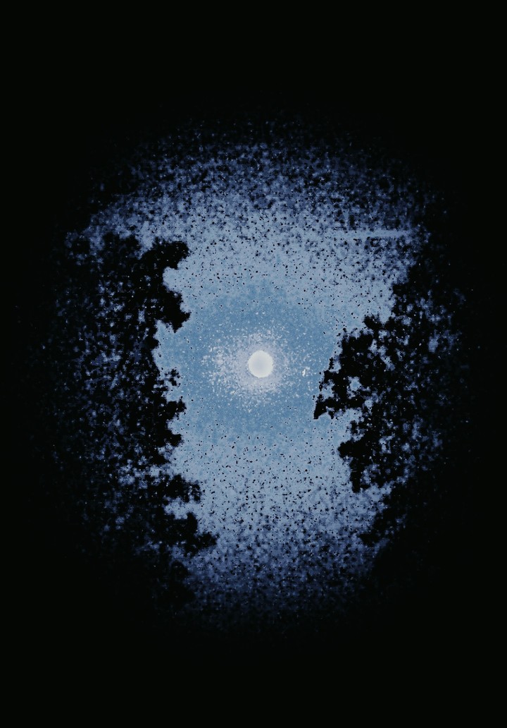 please like...night view