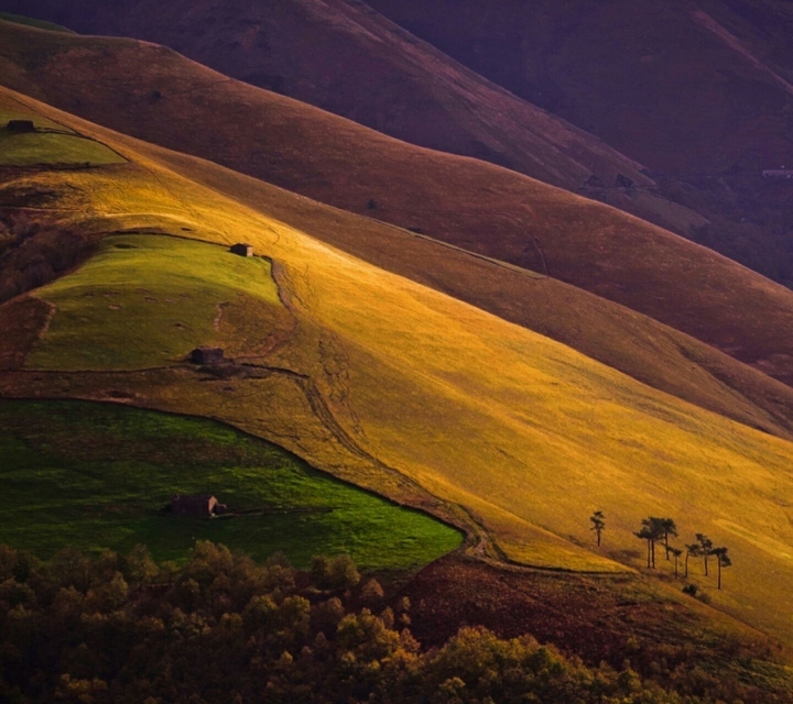 nature...