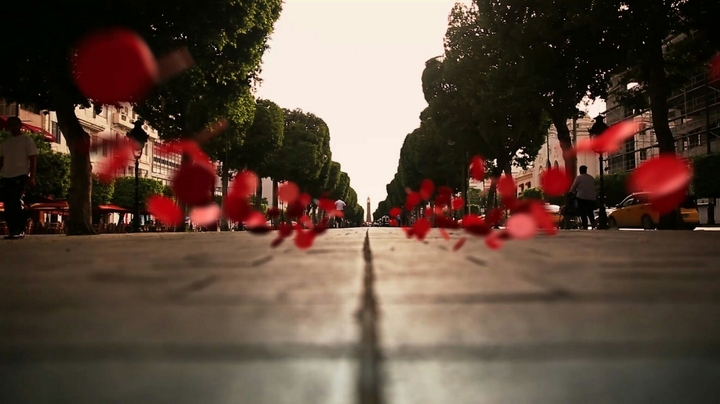 AV HBIB BOURGUIBA TUNISIE