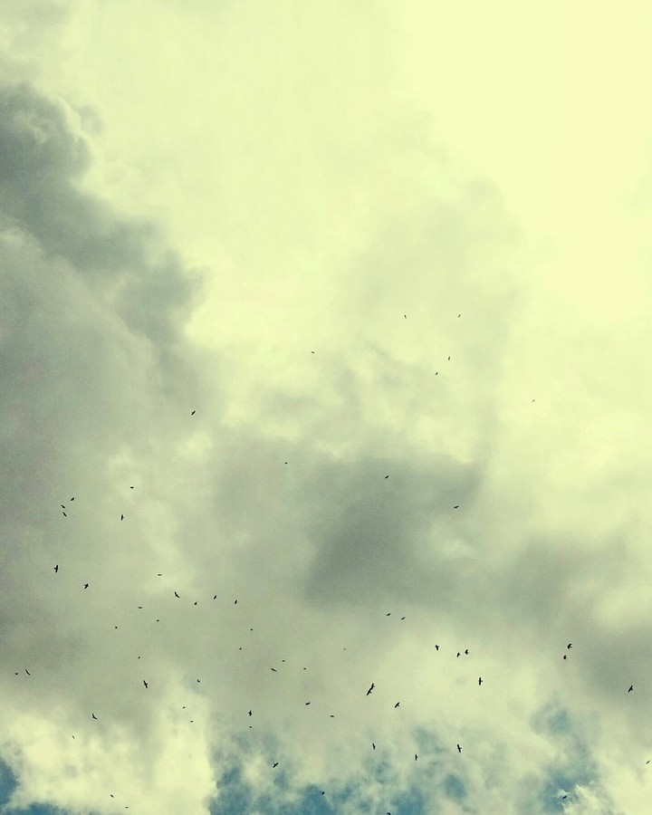 Flying