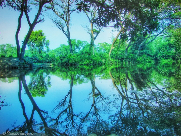 Reflection