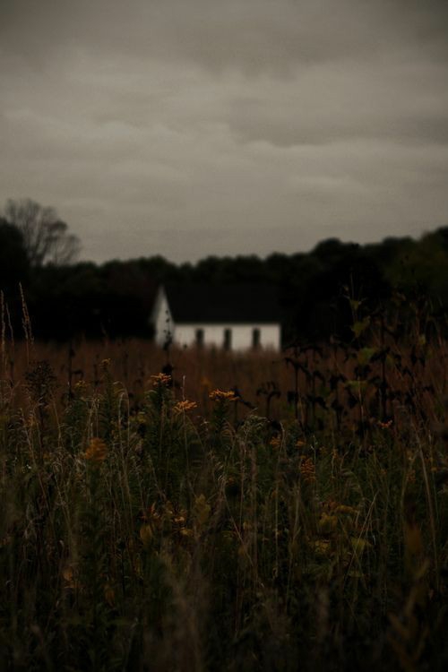 dark cottagecore
